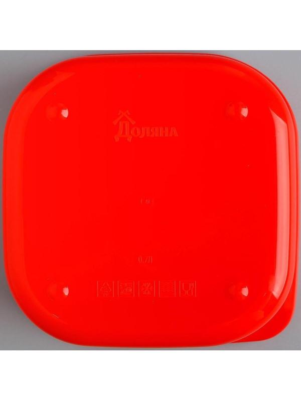 Ланч-бокс «Заряд энергии», 700 мл