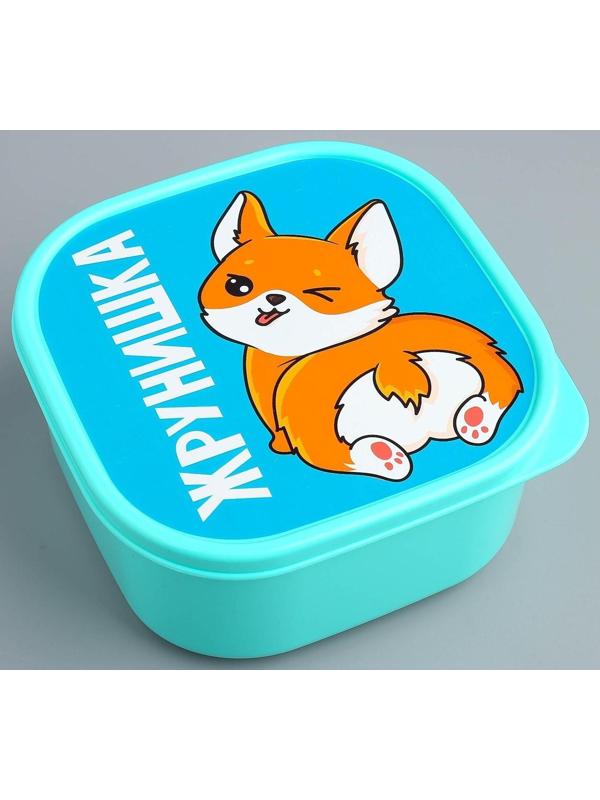 Ланч-бокс «Жрунишка», 700 мл