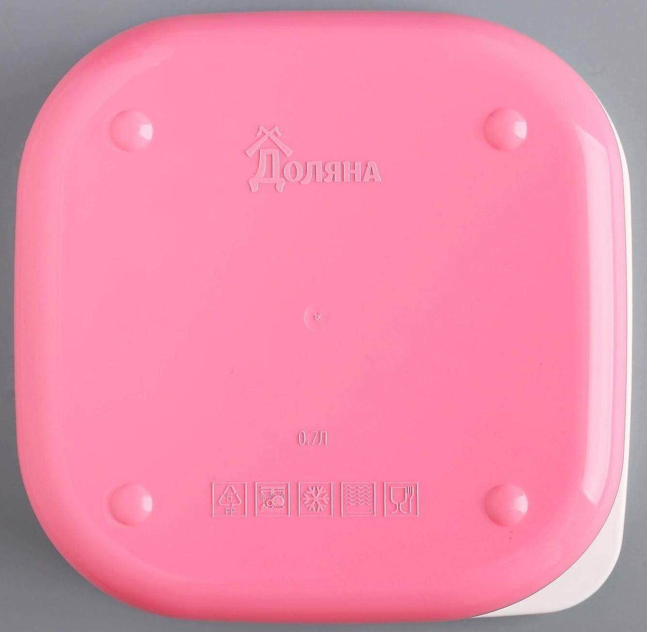 Ланч-бокс «Если хочется, то можно», 700 мл