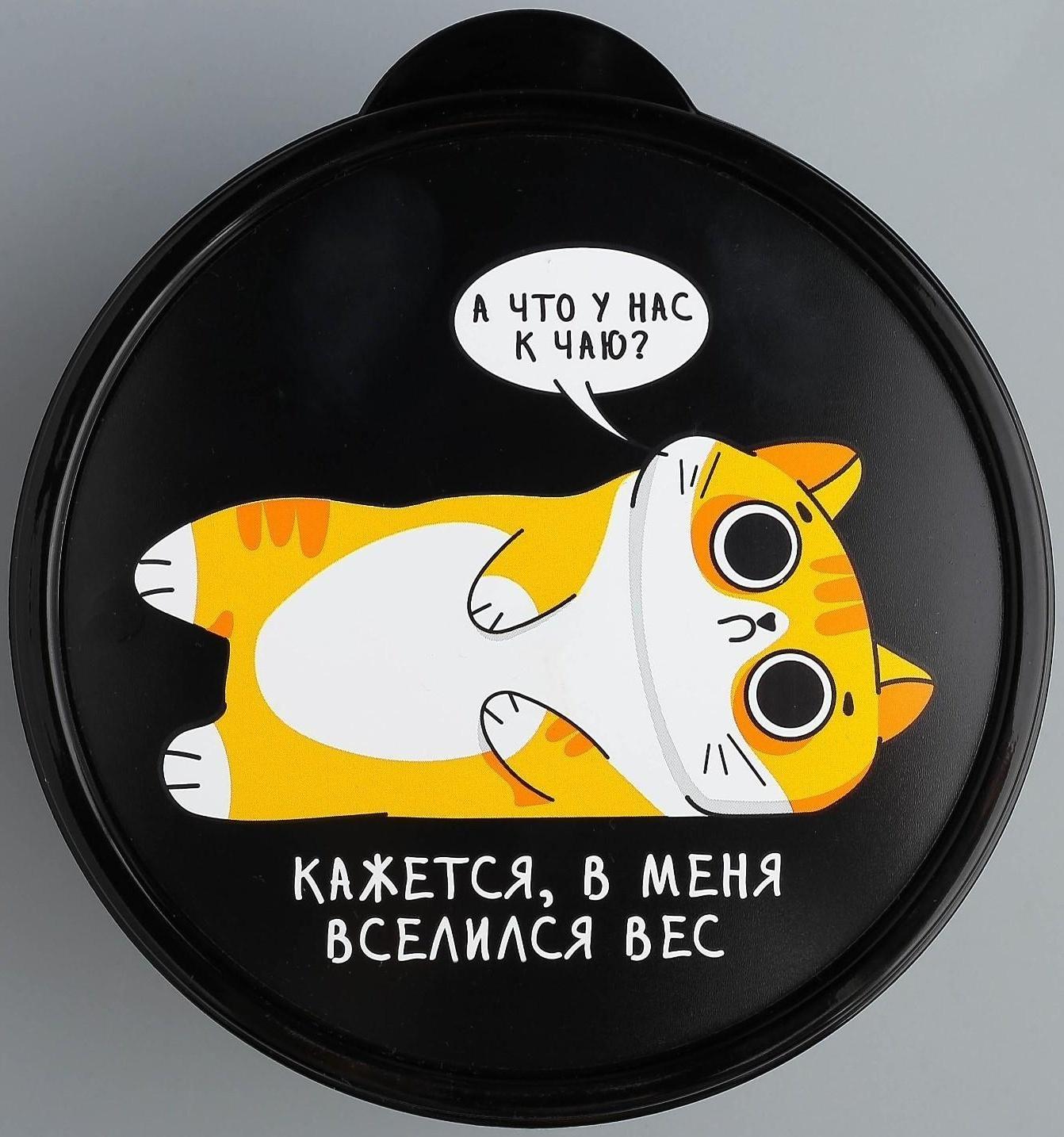 Ланч-бокс «В меня вселился вес», 500 мл