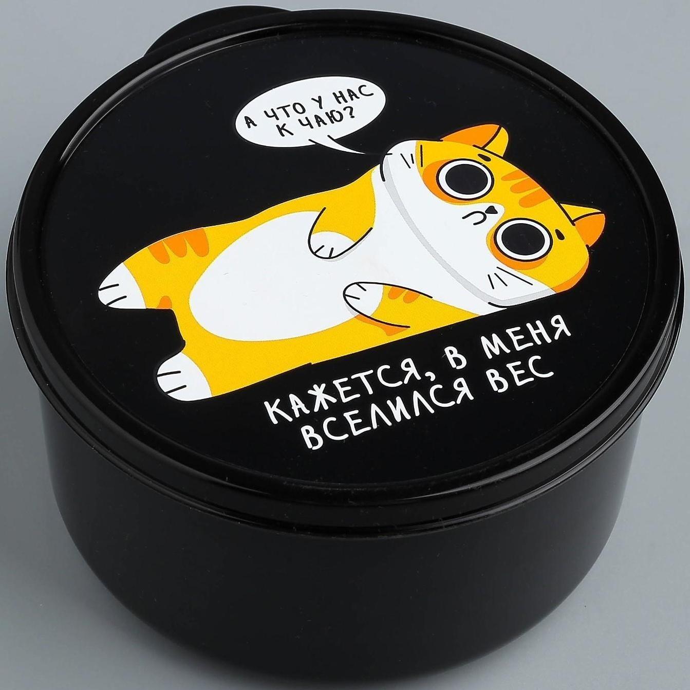 Ланч-бокс «В меня вселился вес», 500 мл