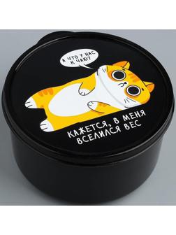 Ланч-бокс «В меня вселился вес», 500 мл