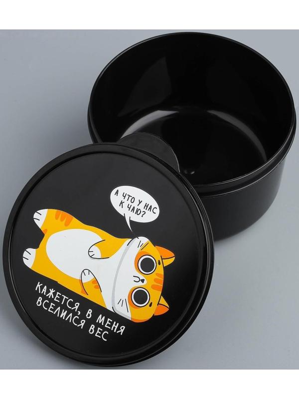 Ланч-бокс «В меня вселился вес», 500 мл