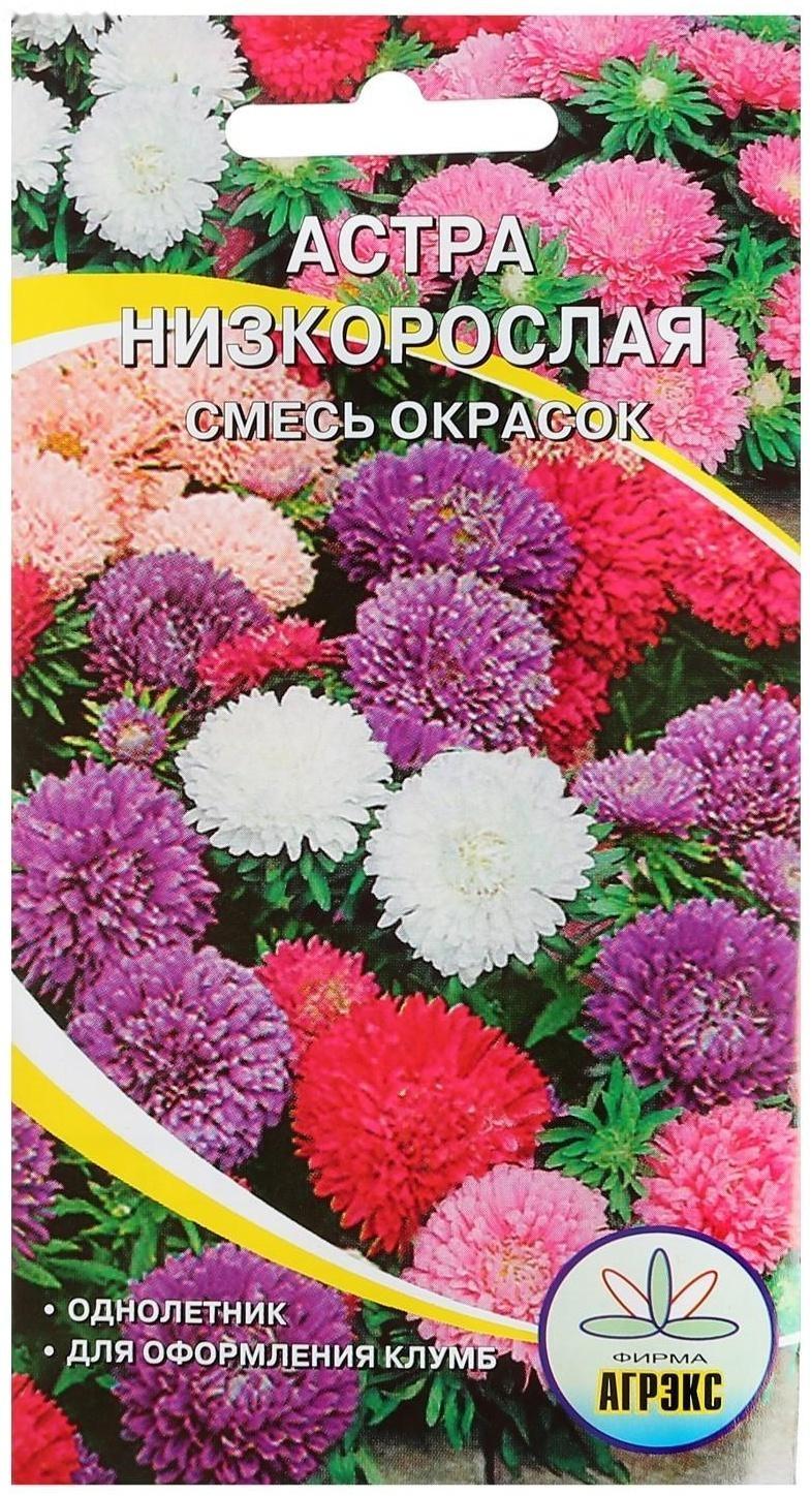 Семена цветов Астра, смесь,низкорослая, 0,2-0,25 г