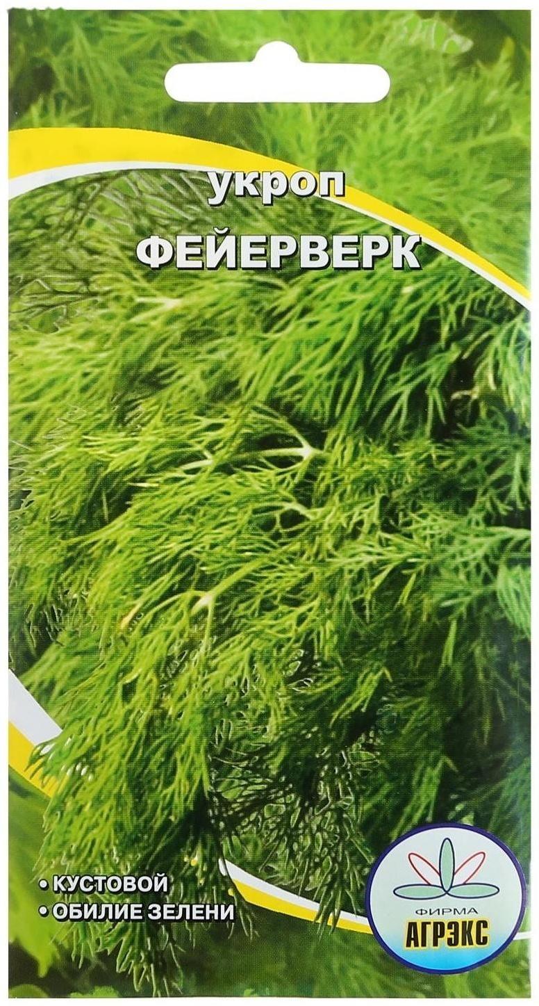 Семена Укроп 