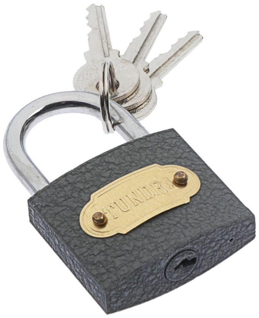 Замок навесной ТУНДРА ZN1038, 38 мм