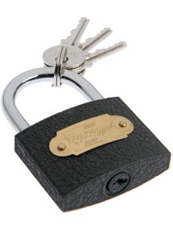 Замок навесной ТУНДРА ZN1050, 50 мм