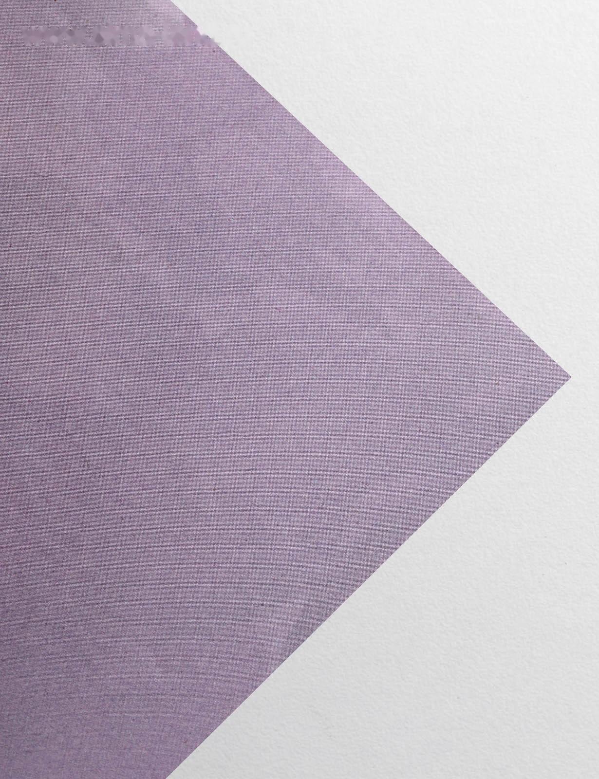 Бумага упаковочная глянцевая двусторонняя «Цветочный сад», 70 × 100 см / 10 шт.