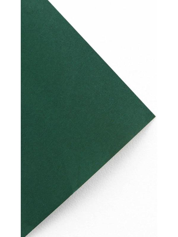 Бумага упаковочная глянцевая двусторонняя «Тропики», 70 × 100 см / 10 шт.