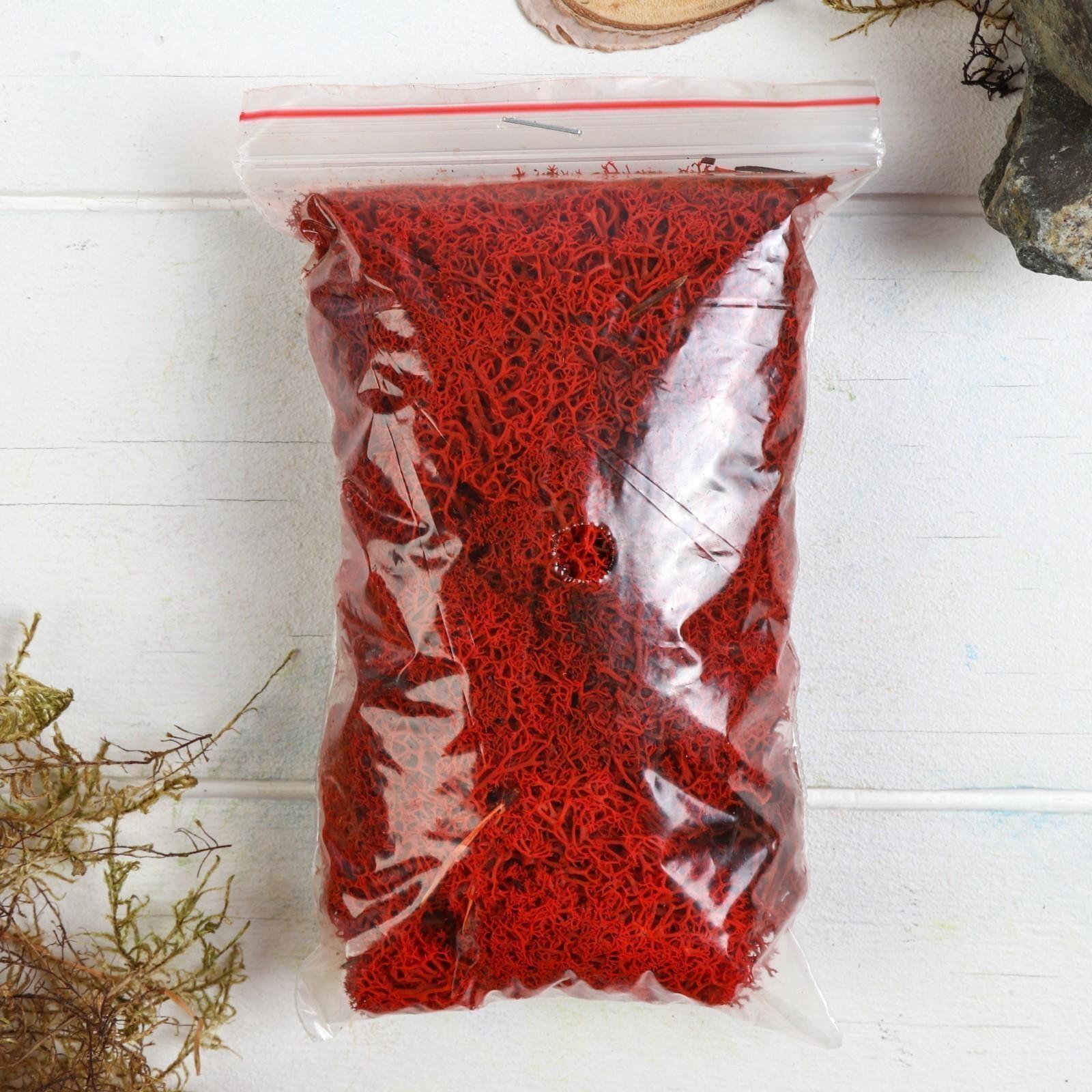 Мох стабилизированный 