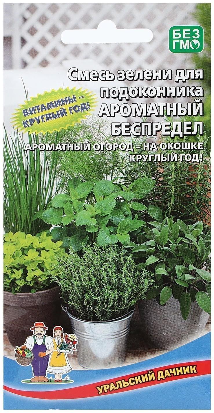 Набор семян зелени, для подоконника 