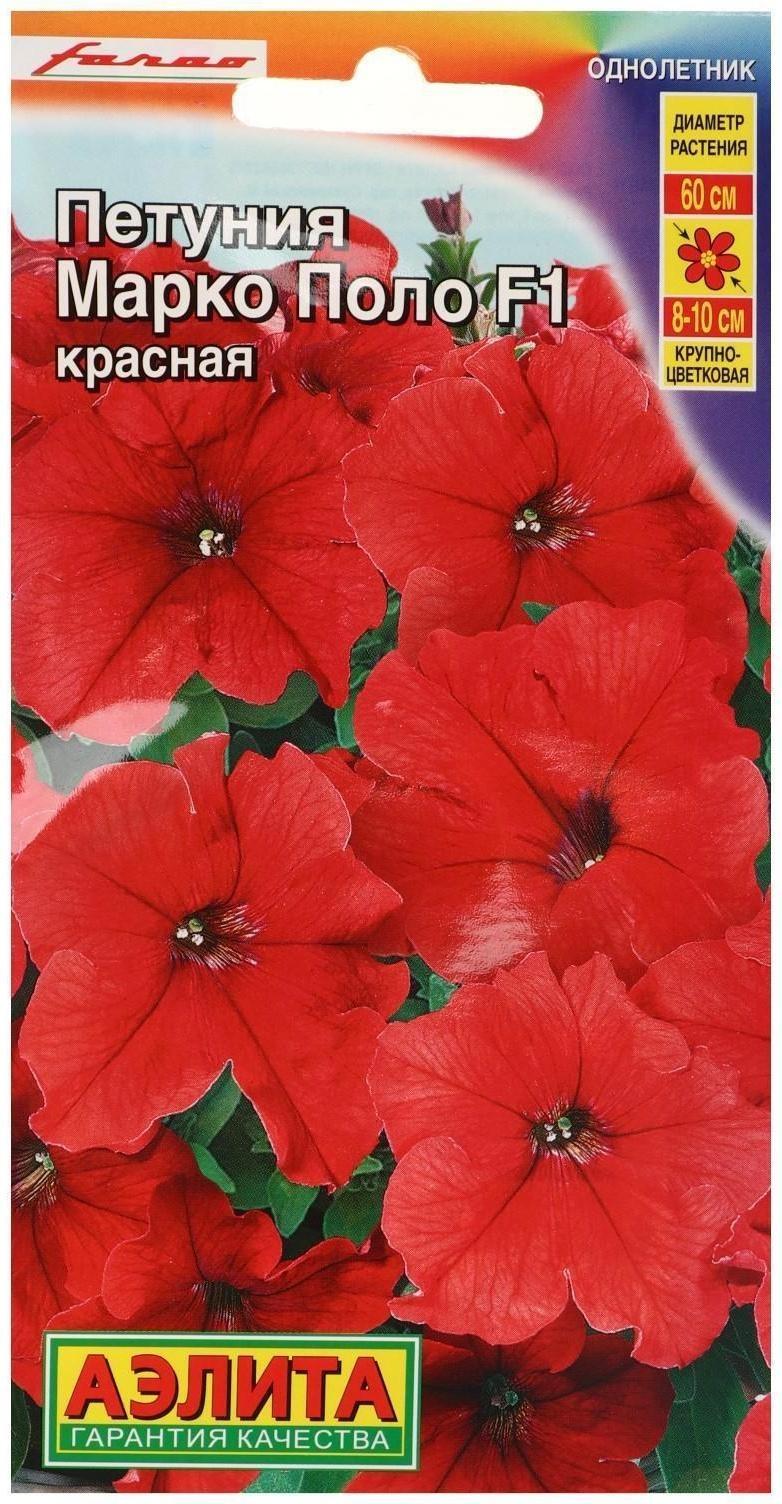 Семена  Петуния 