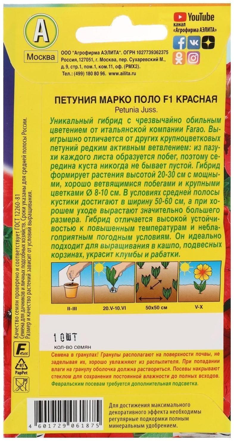 Семена  Петуния 