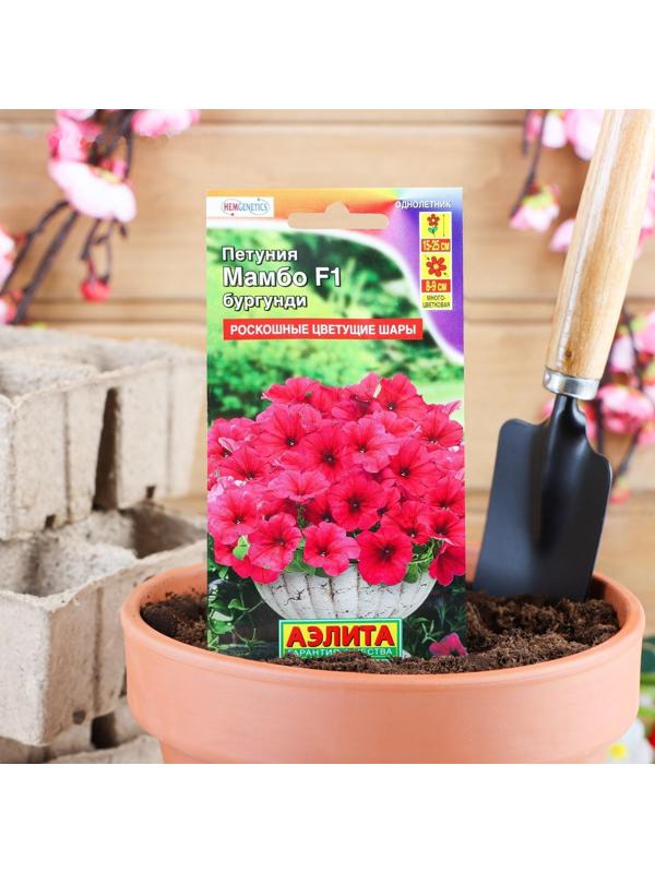 Семена Петуния Мамбо F1 бургунди многоцветковая, 7 шт