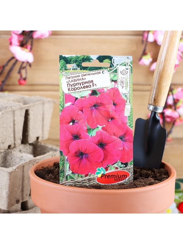 Семена цветов Петуния ампельная 