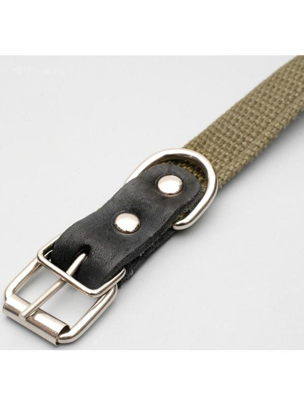 Ошейник брезентовый безразмерный однослойный, 52 х 2 см, ОШ 23-46 см, хаки