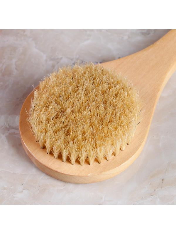 Щётка массажная из натуральной щетины, с ручкой, гладкая