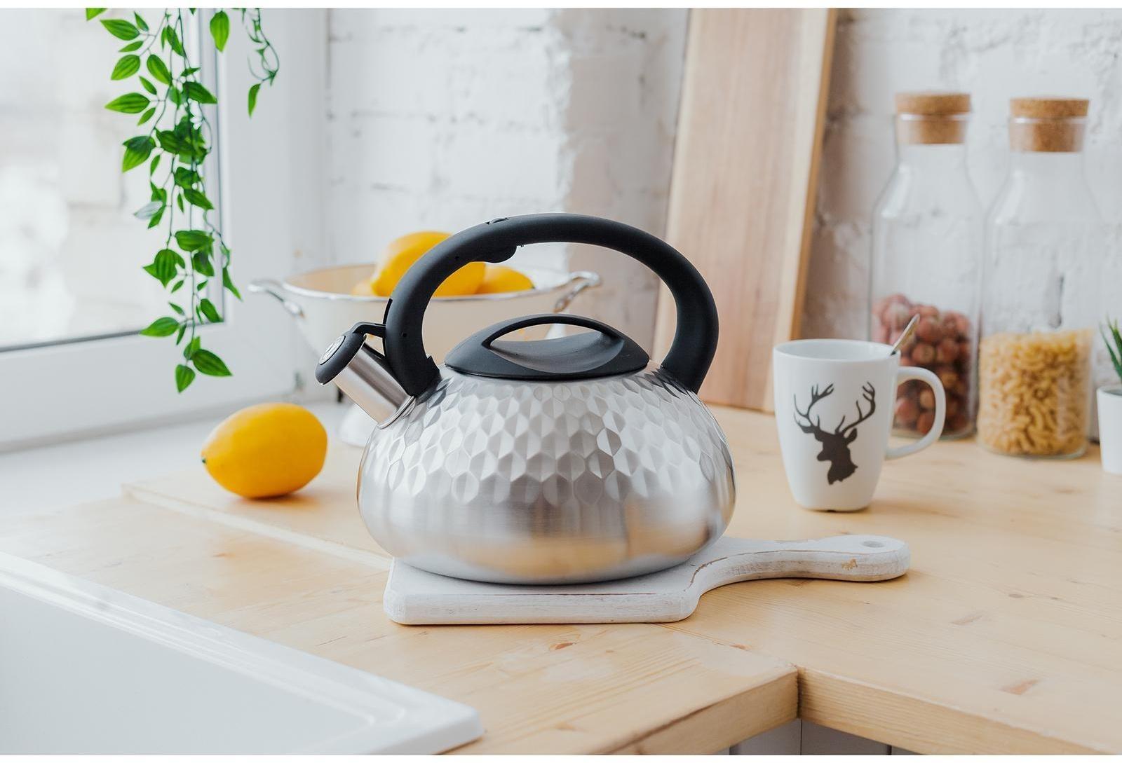 Чайник со свистком из нержавеющей стали Magistro Glow, 3 л, индукция, ручка soft-touch, цвет серебряный