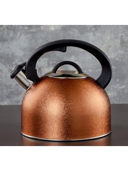 Чайник со свистком из нержавеющей стали Доляна Snow, 3 л, индукция, цвет золотой