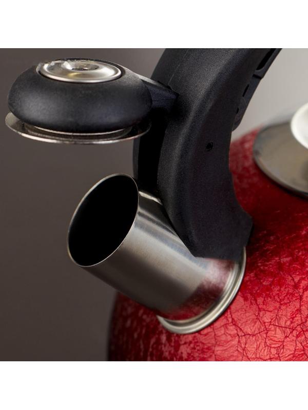 Чайник со свистком из нержавеющей стали Доляна Snow, 3 л, индукция, цвет красный