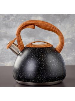 Чайник со свистком из нержавеющей стали Magistro Stone, 2,7 л, ручка soft-touch, индукция, цвет чёрный