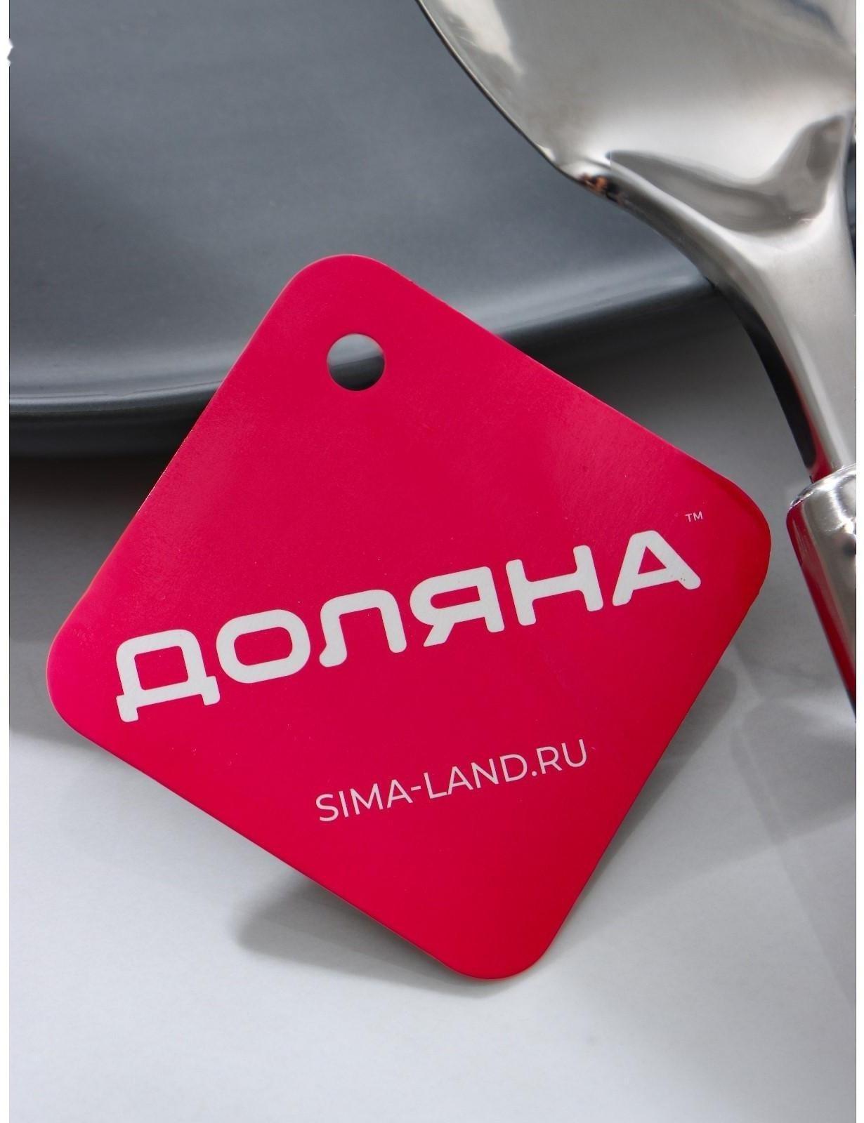 Ложка гарнирная из нержавеющей стали Доляна «Стандарт», h=24 см, цвет серебряный