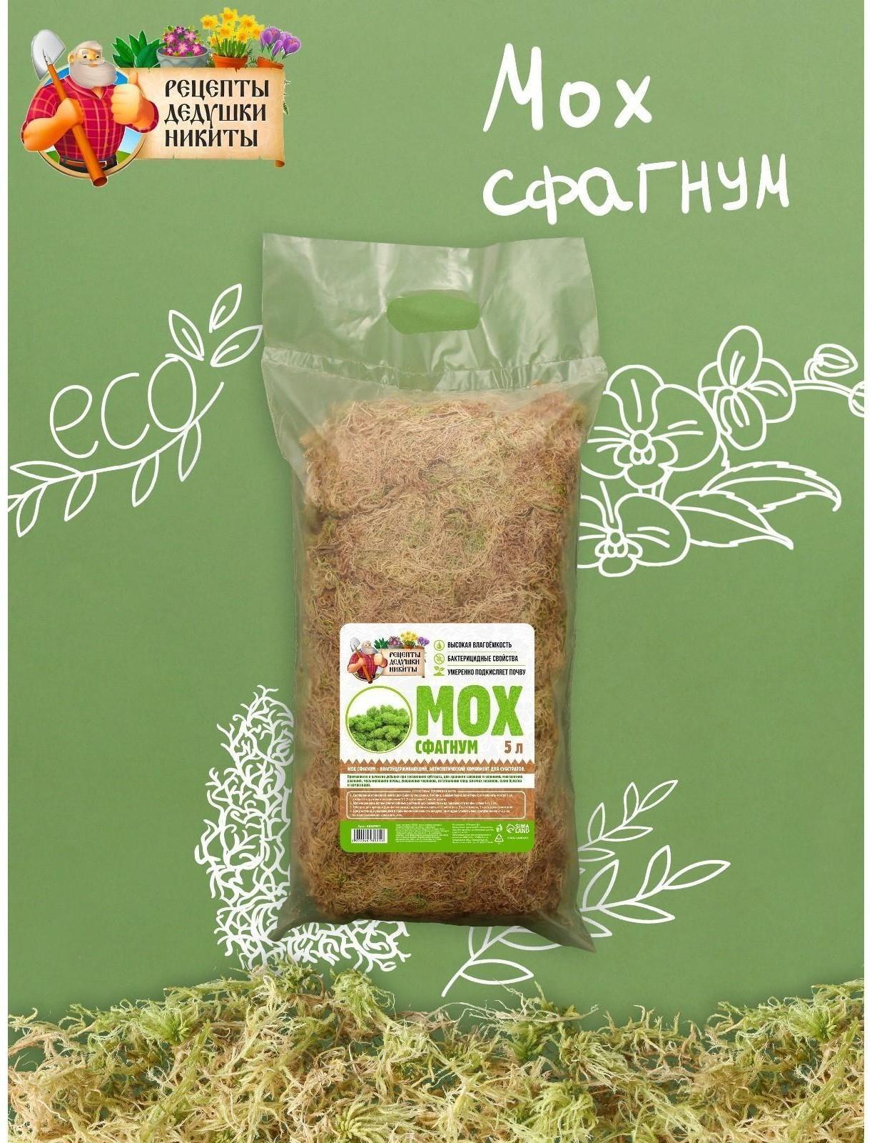 Мох сфагнум 