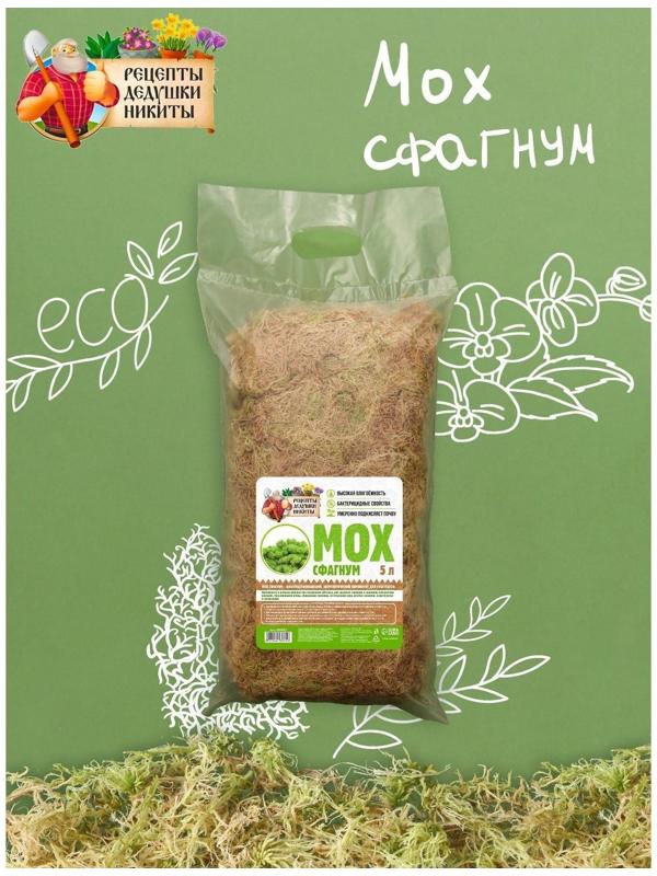 Мох сфагнум 