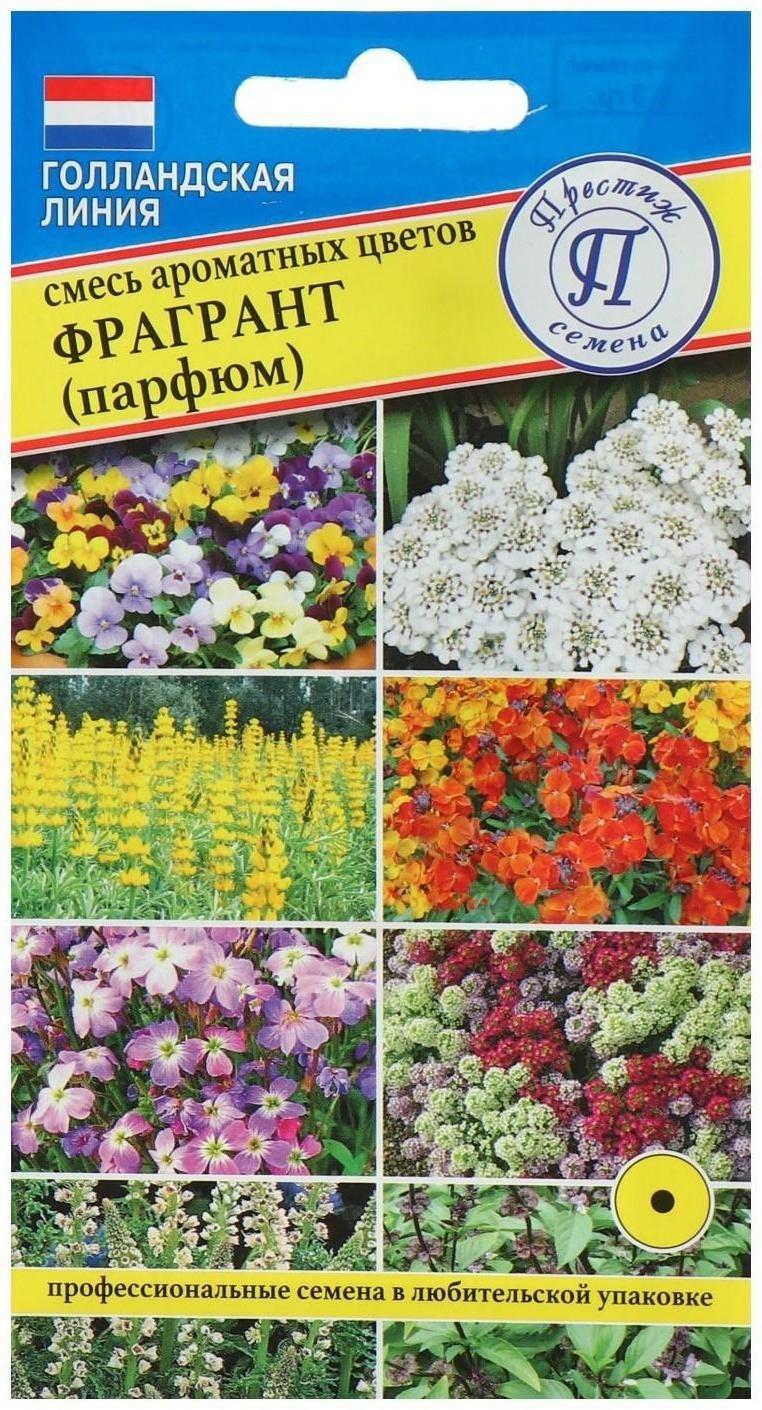 Семена цветов Смесь 