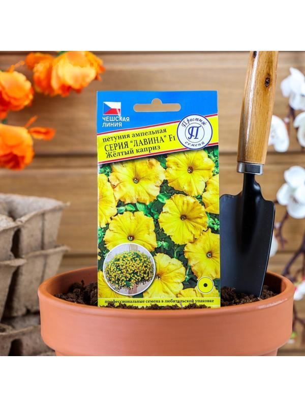 Семена цветов Петуния 