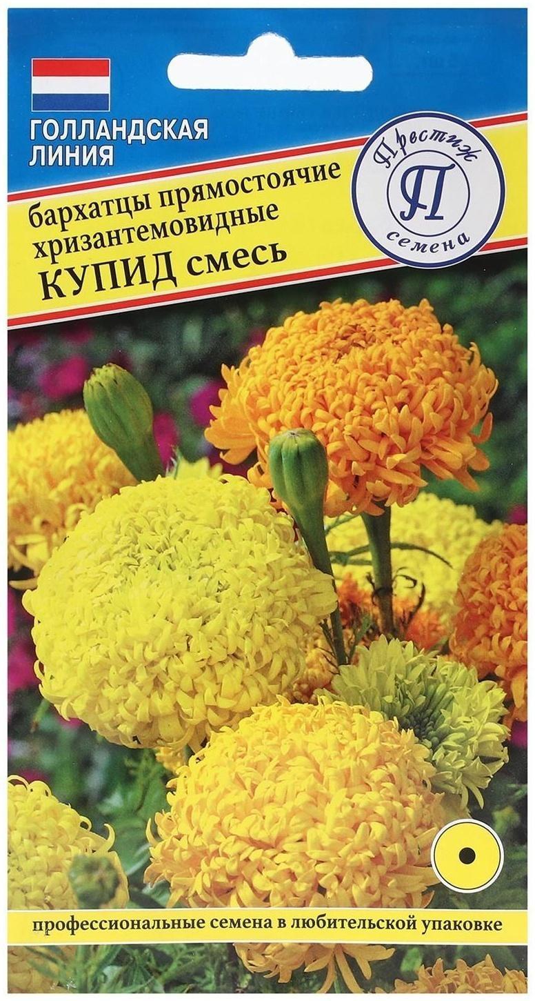 Семена Бархатцы хризантемы 