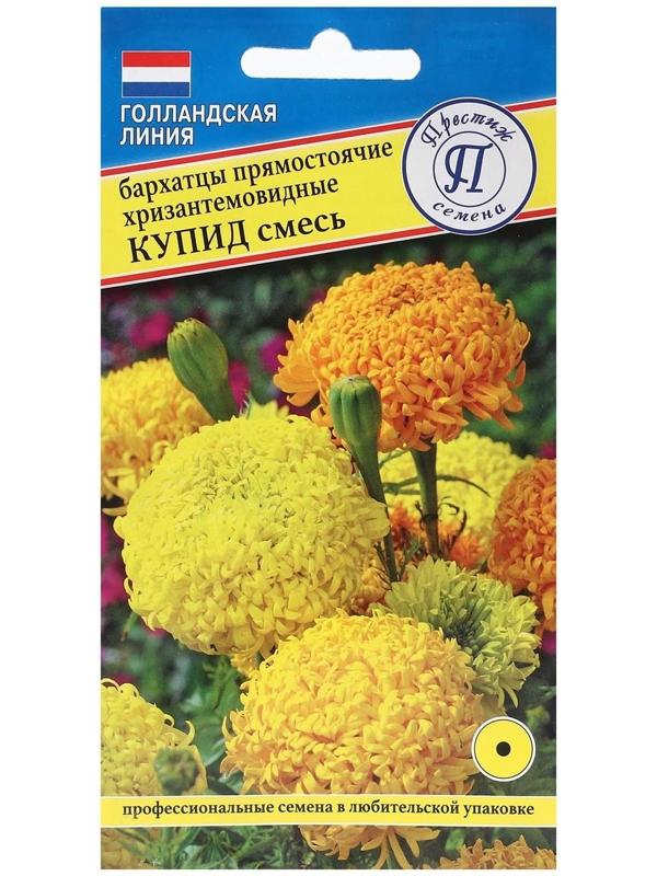 Семена Бархатцы хризантемы 