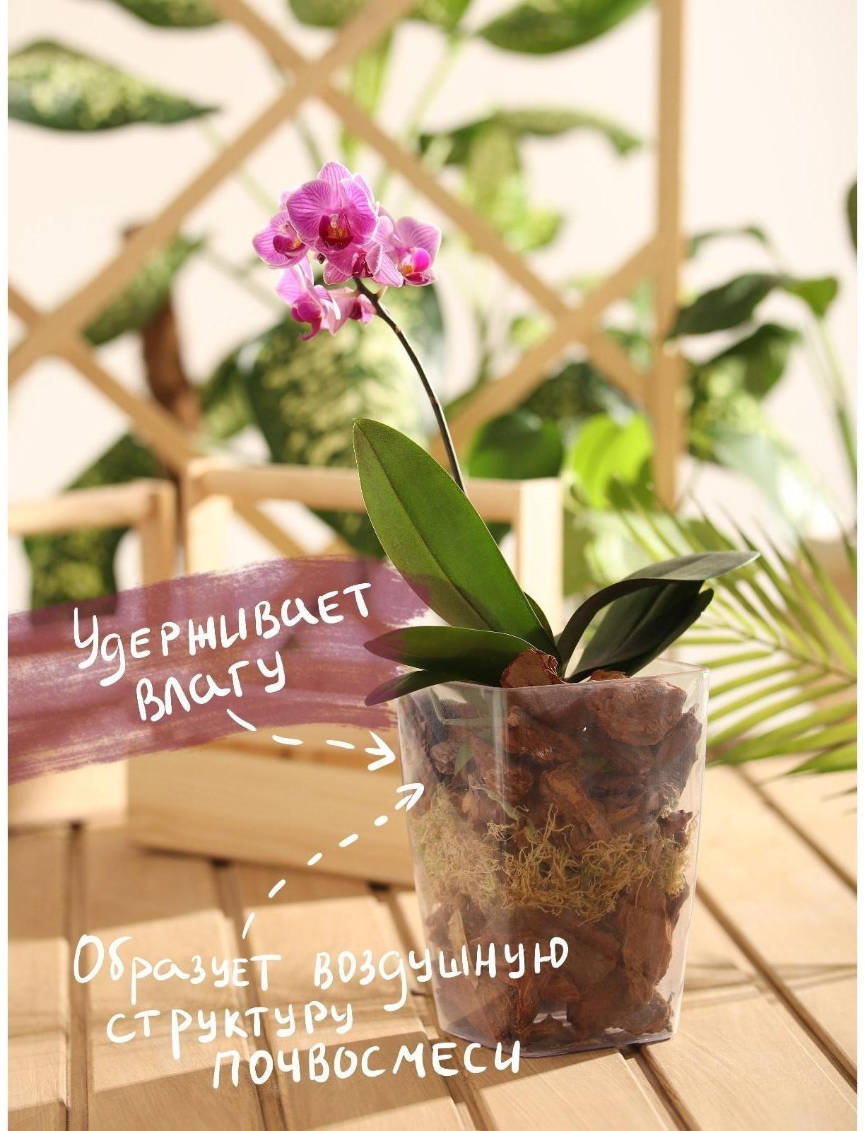Набор компонентов для орхидей 