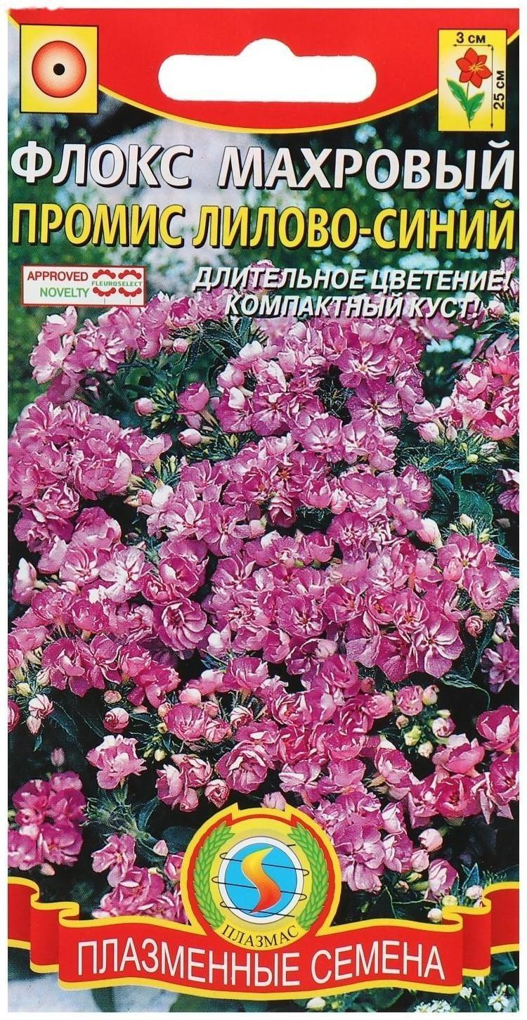 Семена цветов Флокс махровый 