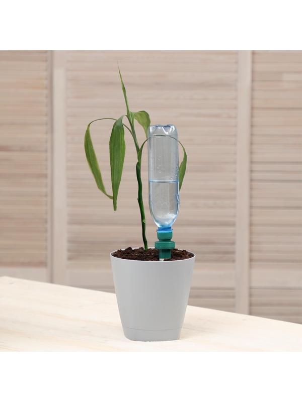 Автополив для комнатных растений, под бутылку, набор 2 шт.