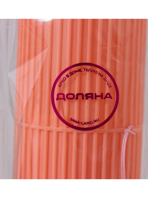 Футляр для зубной щётки и пасты Доляна «Ребрис», 19 см, цвет МИКС