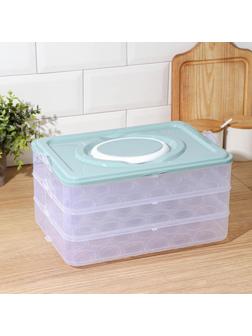 Контейнер для хранения яиц, 31,5×22×17,5 см, в 1 ярусе 24 ячейки, цвет МИКС