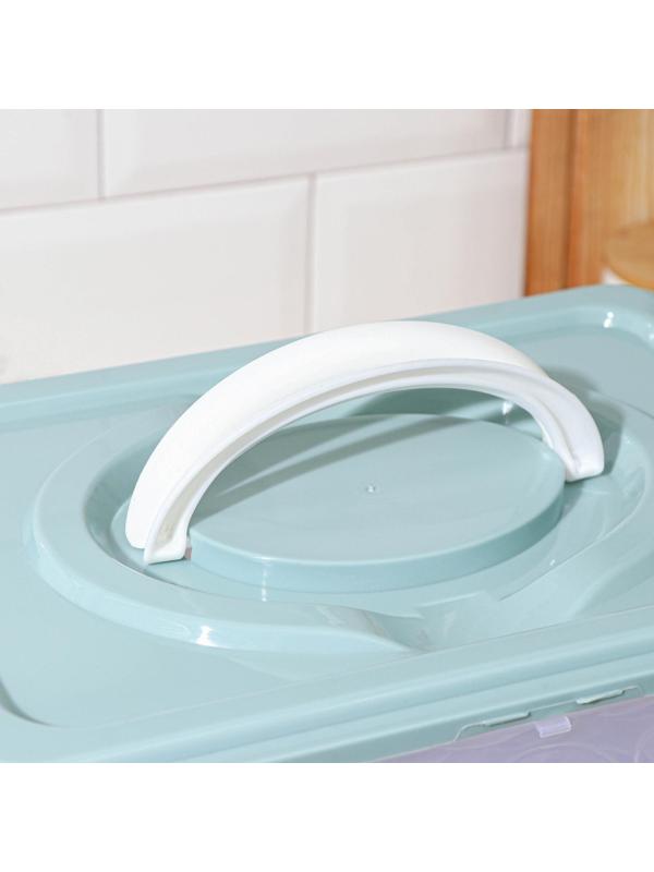 Контейнер для хранения яиц, 31,5×22×17,5 см, в 1 ярусе 24 ячейки, цвет МИКС