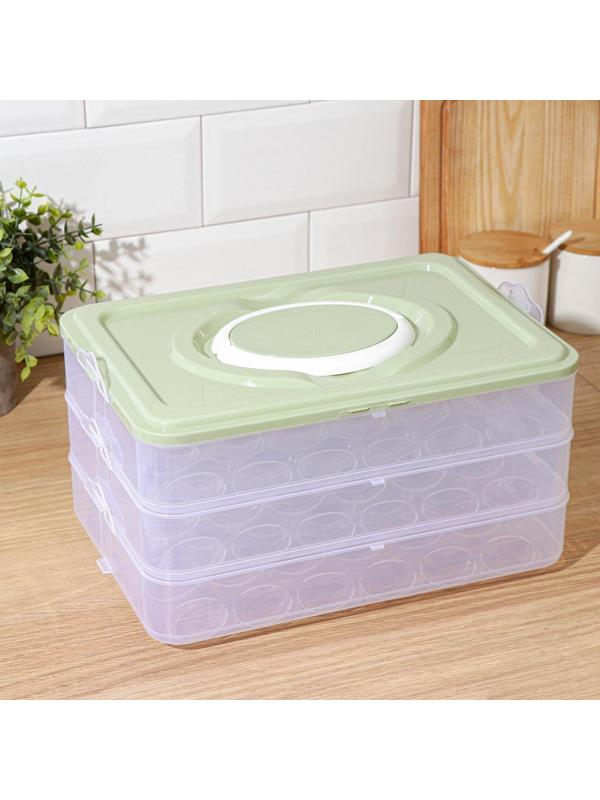 Контейнер для хранения яиц, 31,5×22×17,5 см, в 1 ярусе 24 ячейки, цвет МИКС