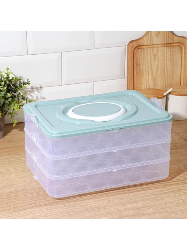 Контейнер для хранения яиц, 31,5×22×17,5 см, в 1 ярусе 24 ячейки, цвет МИКС