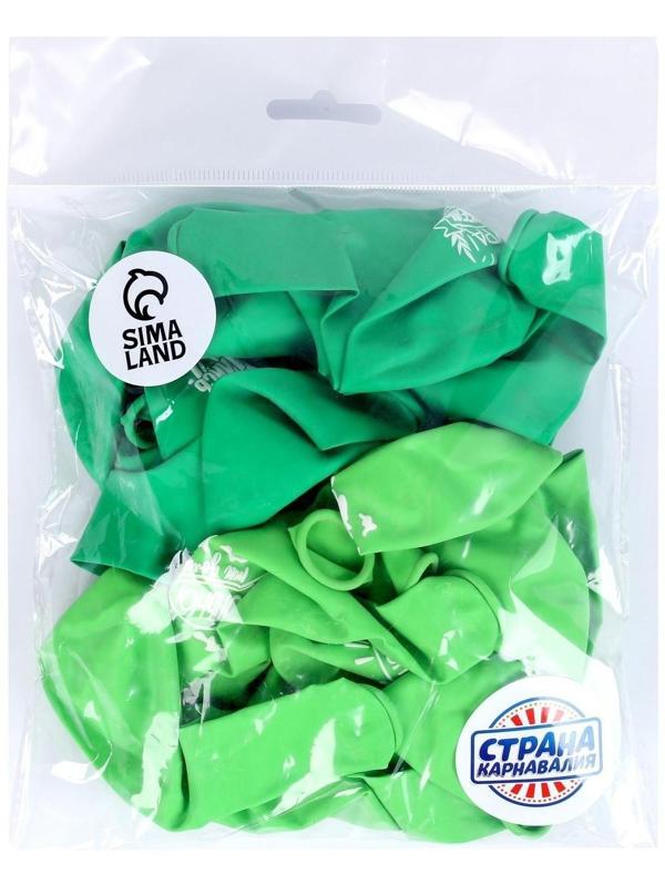 Шар воздушный 12