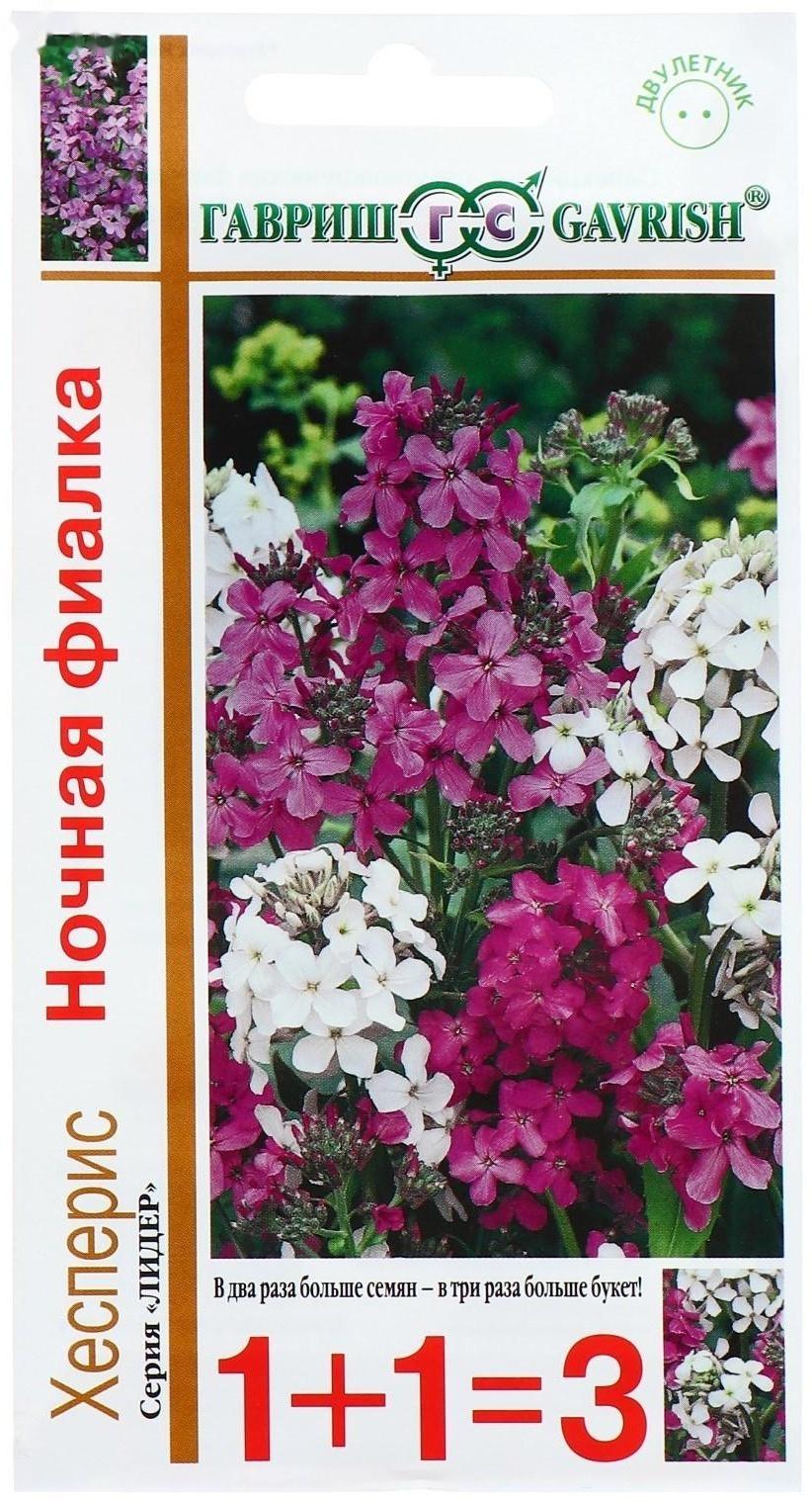 Семена цветов Хесперис 