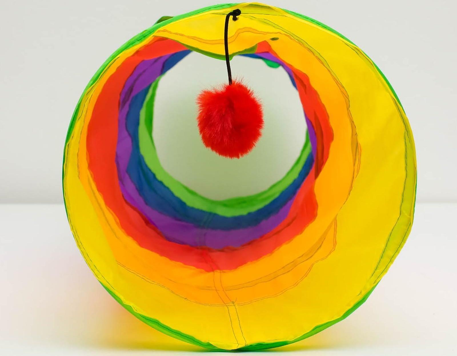 Туннель для кошек с игрушкой, 120 х 25 см, разноцветный