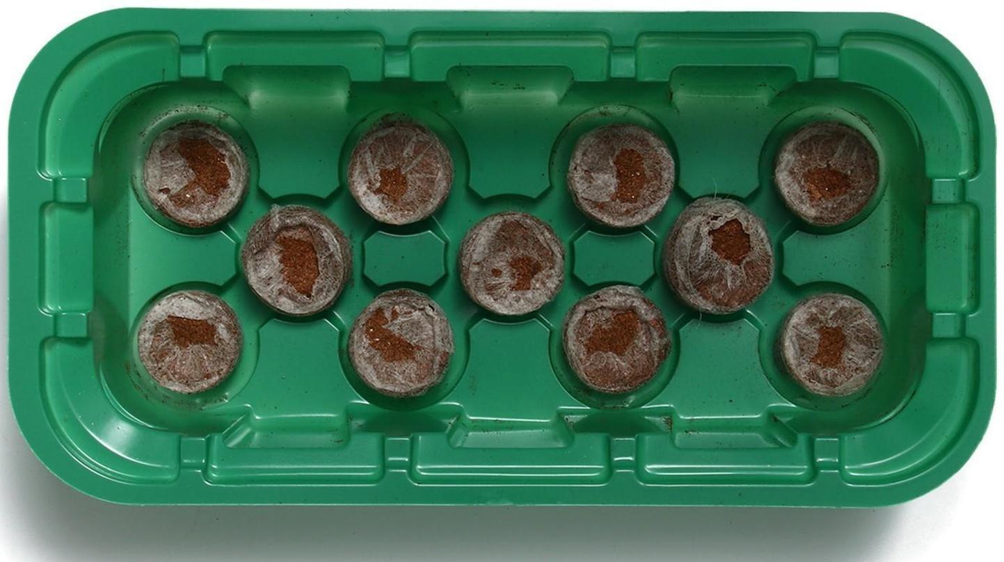 Мини-парник для рассады: кокосовая таблетка d = 3 см, 11 шт., jiffy
