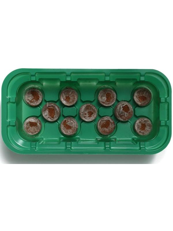 Мини-парник для рассады: кокосовая таблетка d = 3 см, 11 шт., jiffy