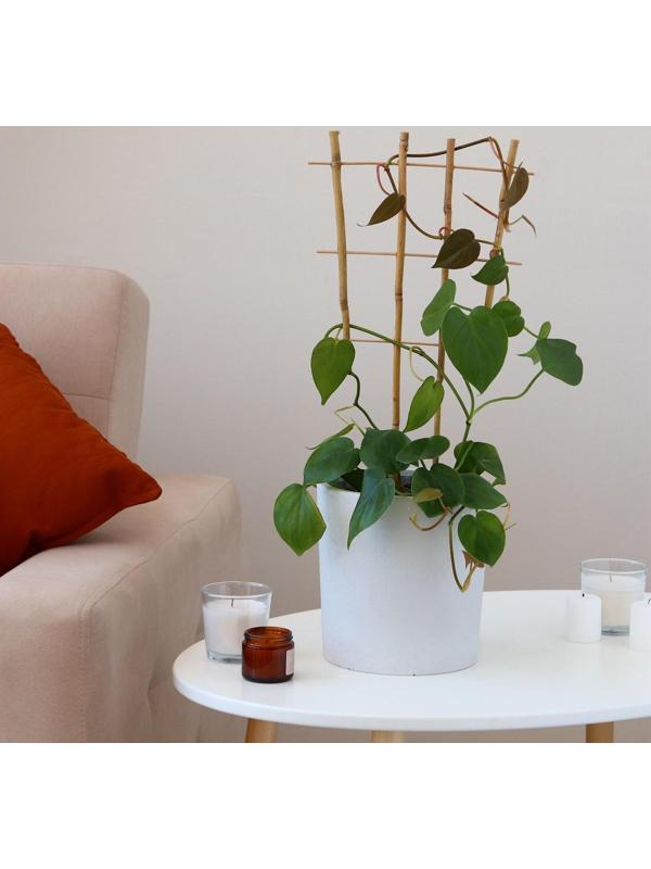 Шпалера, 45 × 23 × 1 см, бамбук, «Тройная», Greengo