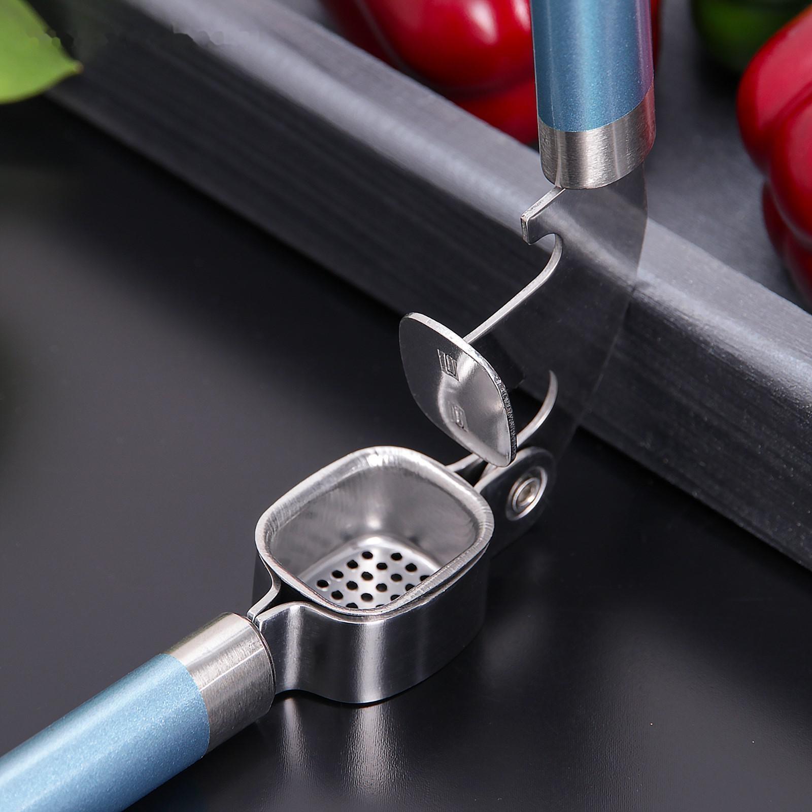 Пресс для чеснока Доляна Lagoona, 19 см, нержавеющая сталь, цвет голубой металлик