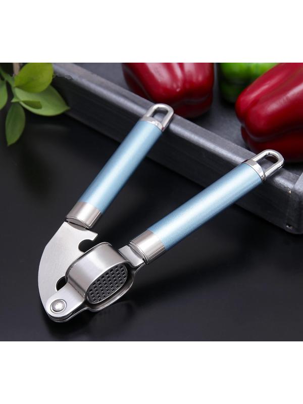 Пресс для чеснока Доляна Lagoona, 19 см, нержавеющая сталь, цвет голубой металлик