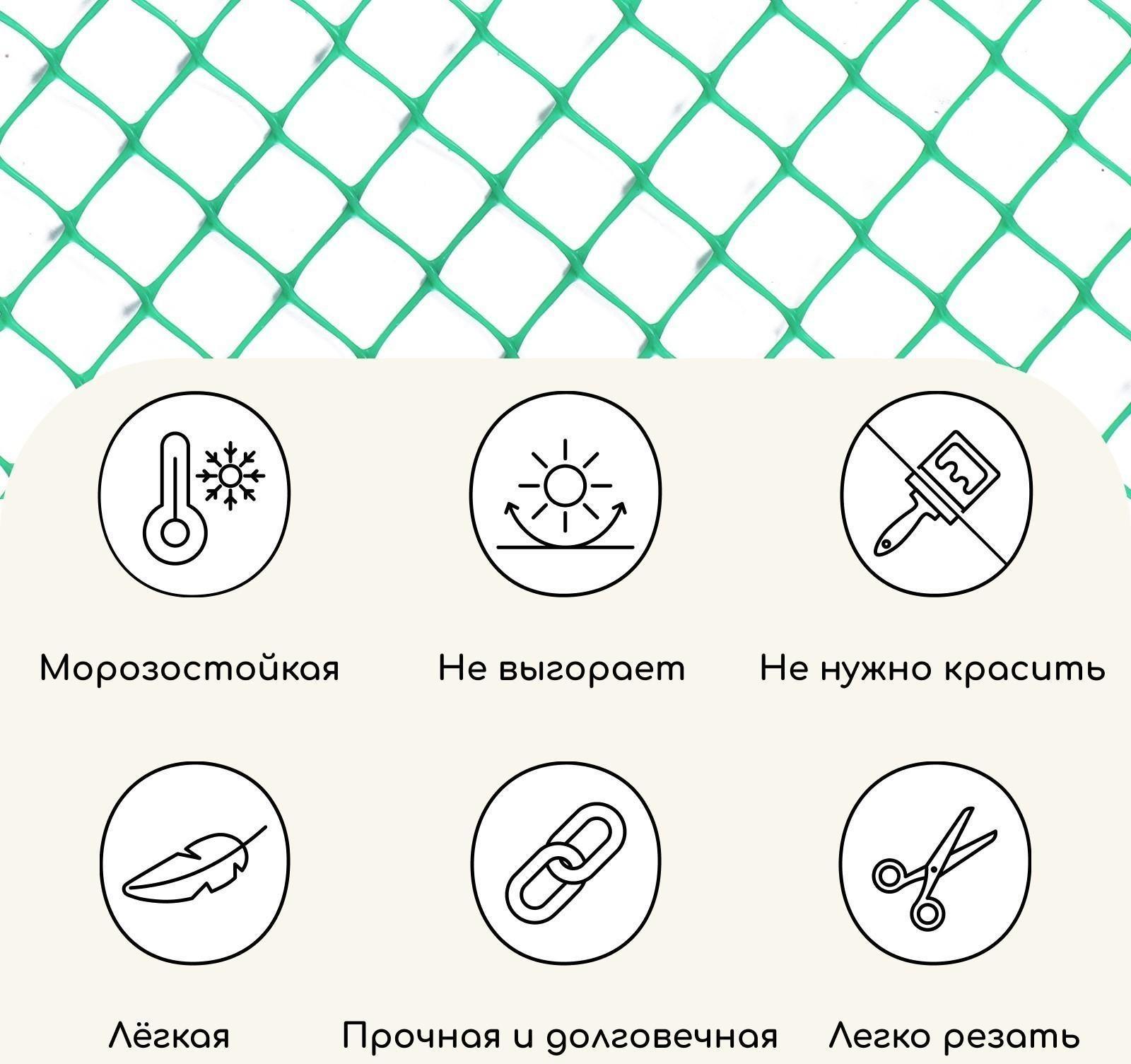 Сетка садовая, 1,5 × 25 м, ячейка 55 × 55 мм, зелёная, Greengo