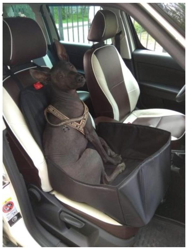 Гамак для перевозки животных на переднее сиденье, 45х 40 см, черный, 3 слоя, ПВХ 600